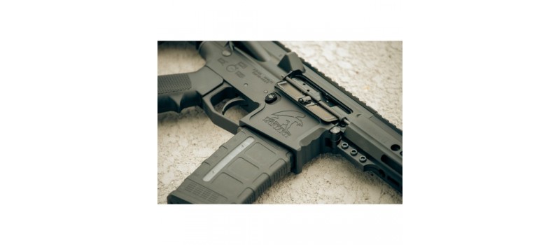 Everything You Need to Know About .308 Winchester Cartridge